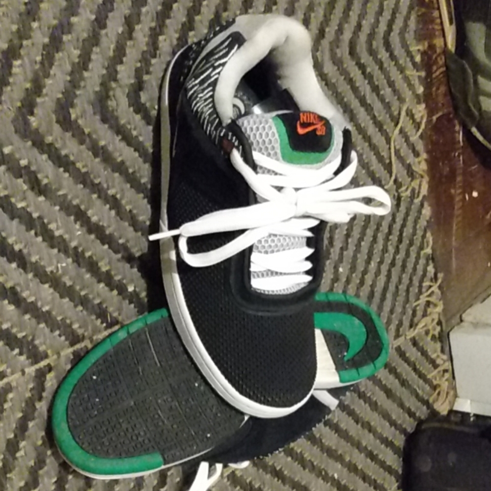 Nike SB Zoom Tre "Loons"